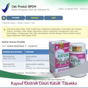 Kapsul Daun Katuk Original Halal BPOM