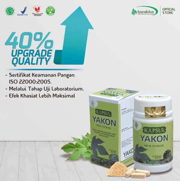 Daun Insulin Kapsul Yakon Herbal Tazakka Premium quality