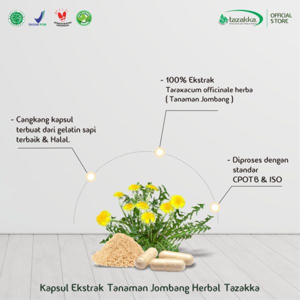 Kapsul Ekstrak Tanaman Herbal Jombang Tazakka