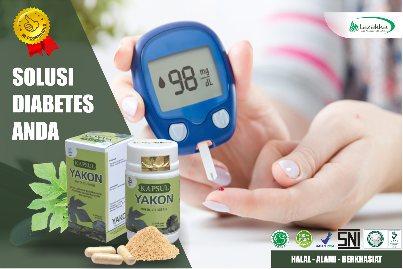Obat Herbal Diabetes Paling Ampuh
