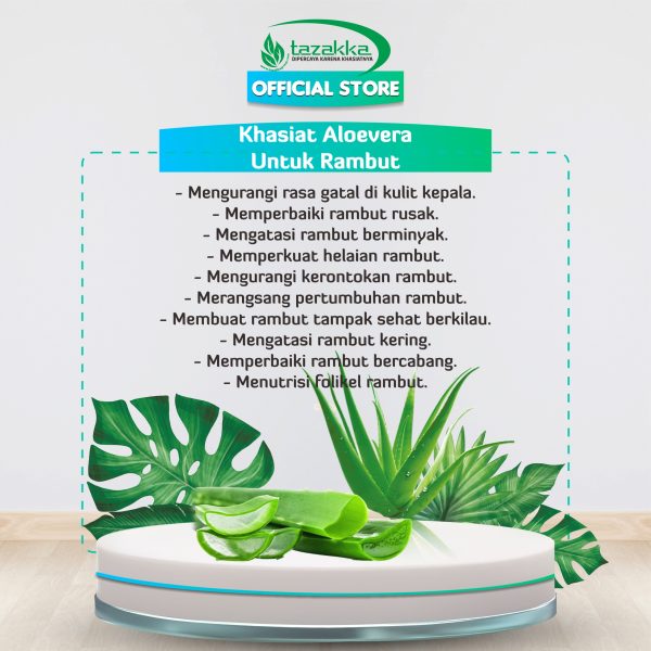 Manfaat OLIVEA Shampoo Aloe Vera Herbal Tazakka 150 ml Sampo Rambut Kering dan Rusak Shampo Lidah Buaya